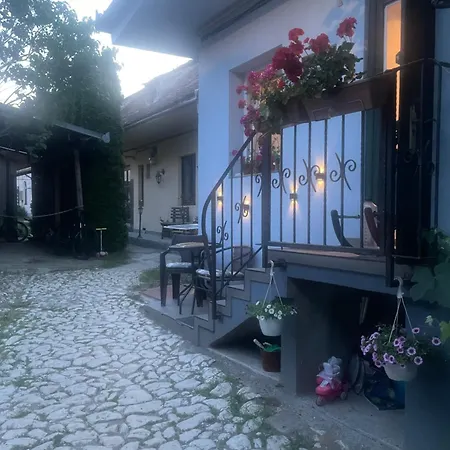 Blue House Guest house Brasov