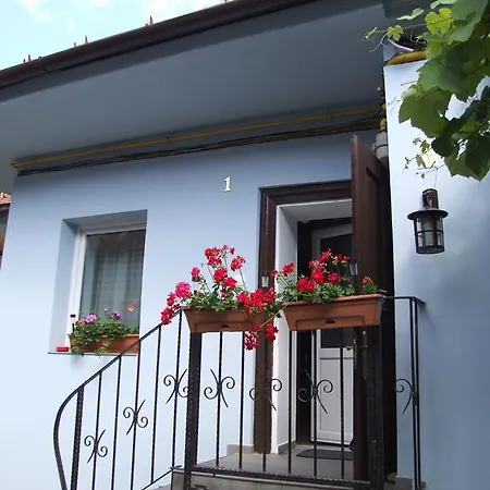 Guest house Blue House Brasov