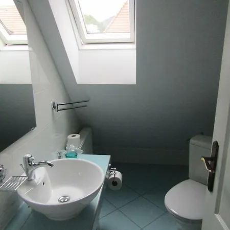 Pensjonat Blue House Braszów