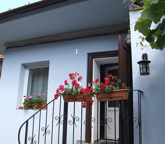 Maison d'hôtes Blue House Braşov