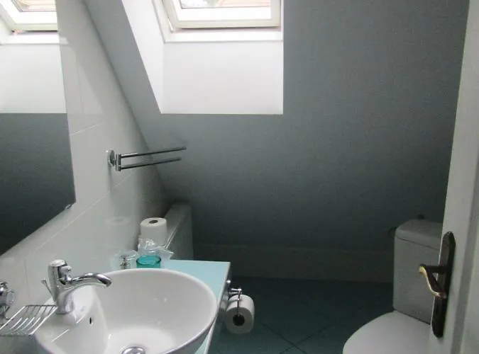 Guest house Blue House Brasov